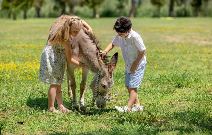 due-bambini-accarezzano-un-asino-in-mezzo-al-verde